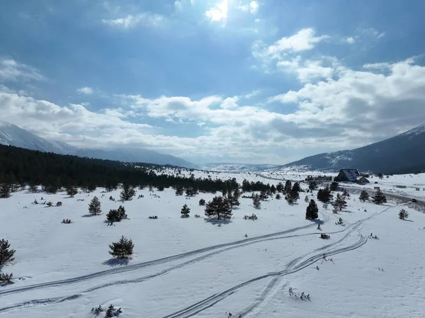 ドローン 雪の山と美しい雪の山の峰の上に はばたきの木の上に撮影した 冬の荒野 晴れた日に 高品質4K映像 — ストック写真