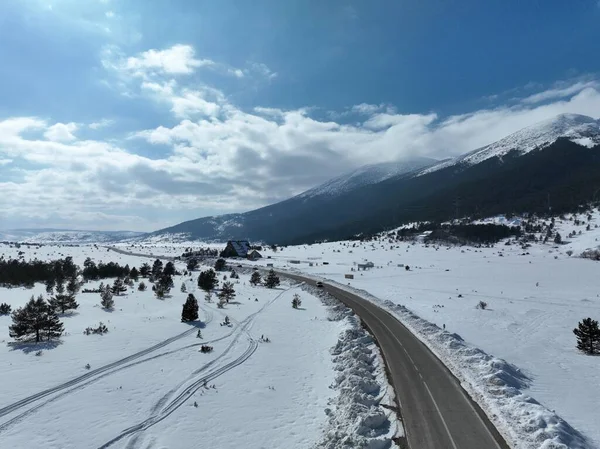 无人驾驶飞机在无叶的树上盘旋 在雪山和美丽的雪峰之上 冬天的荒野 阳光灿烂的日子 高质量的4K镜头 — 图库照片
