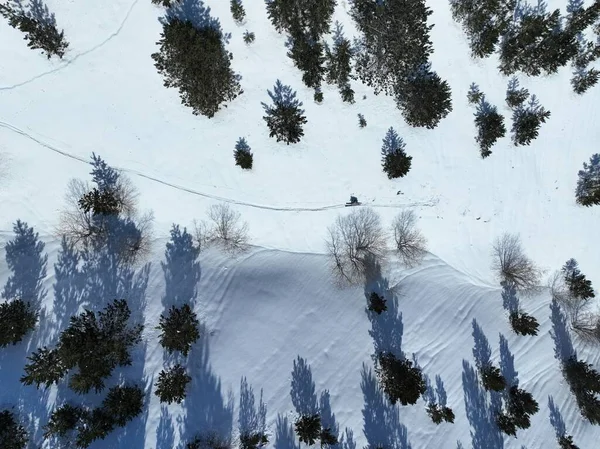 在冬季的新雪中 空中滑雪旅行的人在山上越过摄像头观看风景 滑雪在皮肤上爬上山在一条线上 滑雪度假旅行的概念 高质量4K — 图库照片