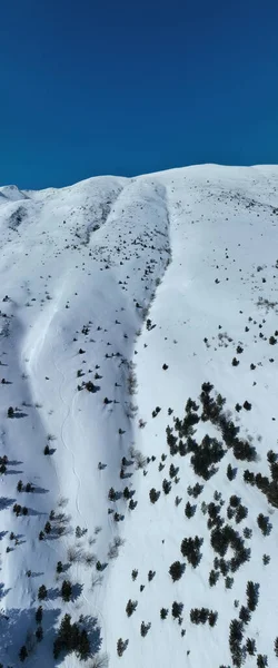 Drone Disparado Sobre Árvores Sem Folhas Acima Uma Montanha Nevada — Fotografia de Stock