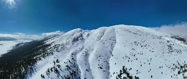 Flygande Drönare Sköt Över Lövlösa Träd Ovanför Ett Snöigt Berg — Stockfoto