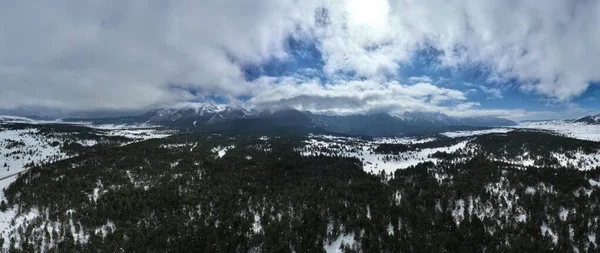 Lotnictwo Dron Wystrzelony Nad Drzewami Liściastymi Nad Śnieżną Górą Pięknymi — Zdjęcie stockowe