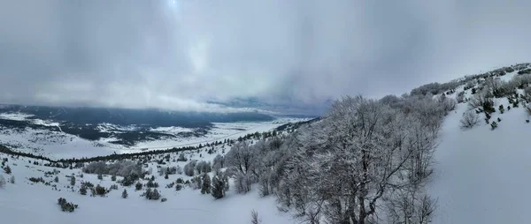 Havadan Yapraksız Ağaçların Üzerinden Karlı Bir Dağın Üzerinden Güzel Karlı — Stok fotoğraf