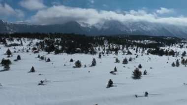 Havadan, yapraksız ağaçların üzerinden, karlı bir dağın üzerinden ve güzel karlı dağ zirvelerinin üzerinden. Kış ıssız, güneşli bir günde. Yüksek kalite 4k görüntü