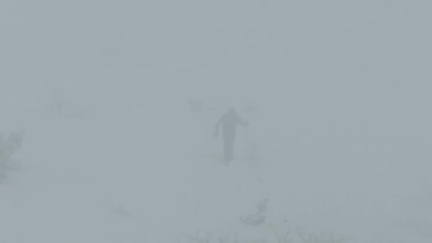 Повітряний Лижний Турист Перетинає Камеру Горах Зимовий Сезон Свіжий Сніг — стокове відео