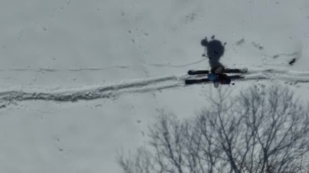 Aerial Ski Περιοδεία Άνθρωπος Που Διασχίζουν Πάνω Από Θέα Της — Αρχείο Βίντεο