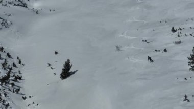 Sinema, tepeden aşağı serbest kayak. İnanılmaz bir dağ manzarası olan taze, derin karda kayak. Freeride atletleri muhteşem bir manzara ile piste kayak dönüşlerini gösteriyorlar. Yüksek kalite 4k görüntü