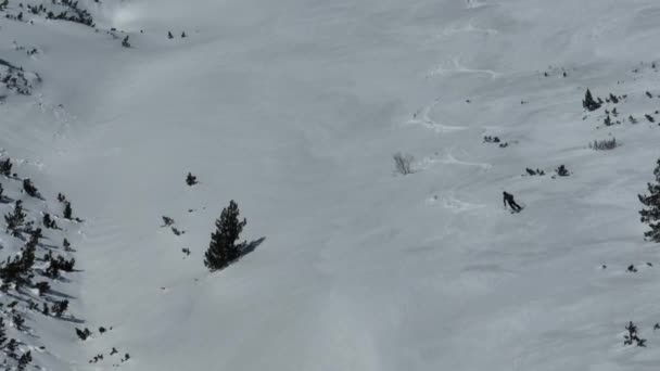 空中下山 在新鲜的深雪中自由自在地滑行 山水秀丽 免费运动员炫耀活塞滑雪转身与令人敬畏的全景 高质量的4K镜头 — 图库视频影像