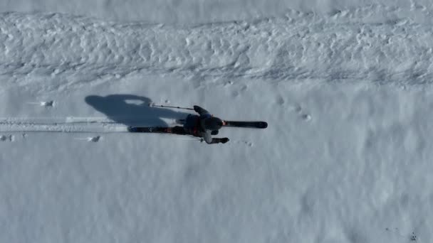 Narciarz Biegowy Wędruje Zimą Ścieżką Śnieżnopokrytym Leśnym Krajobrazie Strzał Tropiący — Wideo stockowe
