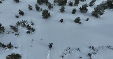 Sinema, tepeden aşağı serbest kayak. İnanılmaz bir dağ manzarası olan taze, derin karda kayak. Freeride atletleri muhteşem bir manzara ile piste kayak dönüşlerini gösteriyorlar. Yüksek kalite 4k görüntü