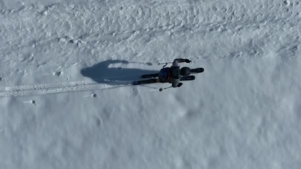 Een Langlaufer Loopt Winter Een Pad Een Besneeuwd Boslandschap Luchtdrone — Stockvideo