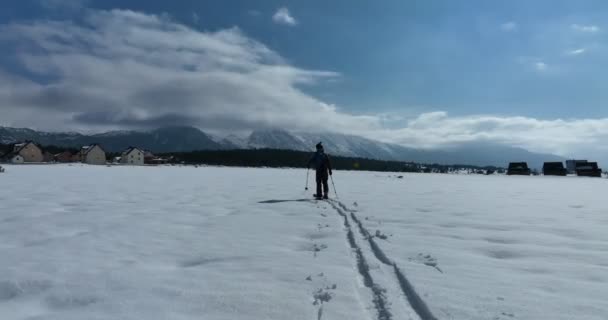 Uno Sciatore Fondo Cammina Lungo Sentiero Paesaggio Forestale Innevato Inverno — Video Stock