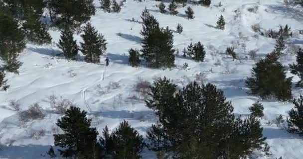 Cinematic Aerial Downhill Freeride Esquí Nieve Fresca Profunda Con Paisaje — Vídeo de stock