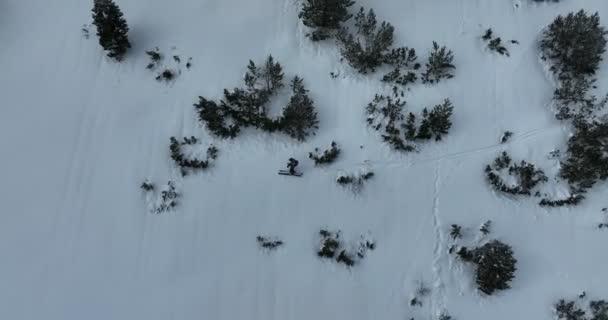 Filmreifes Freeride Skifahren Aus Der Luft Frischen Tiefschnee Mit Atemberaubender — Stockvideo