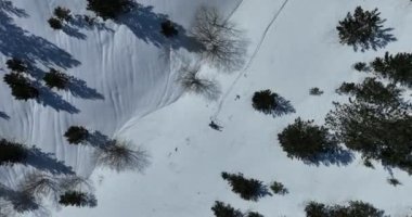 Sinema, tepeden aşağı serbest kayak. İnanılmaz bir dağ manzarası olan taze, derin karda kayak. Freeride atletleri muhteşem bir manzara ile piste kayak dönüşlerini gösteriyorlar. Yüksek kalite 4k görüntü