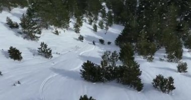 Sinema, tepeden aşağı serbest kayak. İnanılmaz bir dağ manzarası olan taze, derin karda kayak. Freeride atletleri muhteşem bir manzara ile piste kayak dönüşlerini gösteriyorlar. Yüksek kalite 4k görüntü