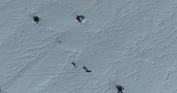 Filmreifes Freeride Skifahren Aus Der Luft Frischen Tiefschnee Mit Atemberaubender — Stockvideo