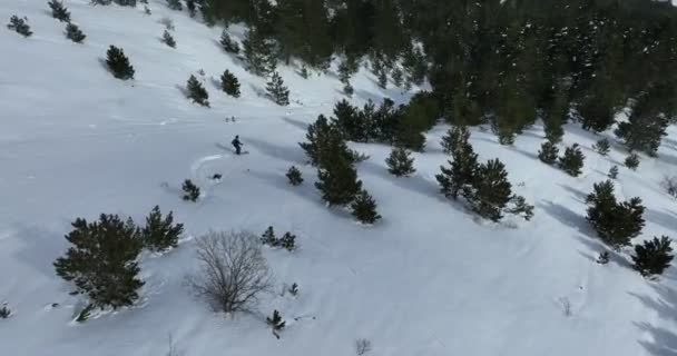 Cinematic Aerial Downhill Freeride Skiing Fresh Deep Snow Amazing Mountain — Stock Video