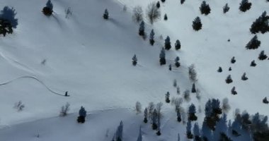 Sinema, tepeden aşağı serbest kayak. İnanılmaz bir dağ manzarası olan taze, derin karda kayak. Freeride atletleri muhteşem bir manzara ile piste kayak dönüşlerini gösteriyorlar. Yüksek kalite 4k görüntü