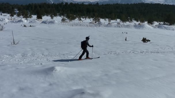 Běžecký Lyžař Jde Zimě Stezce Zasněženou Lesní Krajinou Výstřel Vzdušných — Stock video
