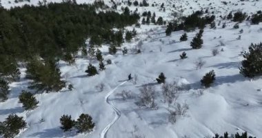 Sinema, tepeden aşağı serbest kayak. İnanılmaz bir dağ manzarası olan taze, derin karda kayak. Freeride atletleri muhteşem bir manzara ile piste kayak dönüşlerini gösteriyorlar. Yüksek kalite 4k görüntü