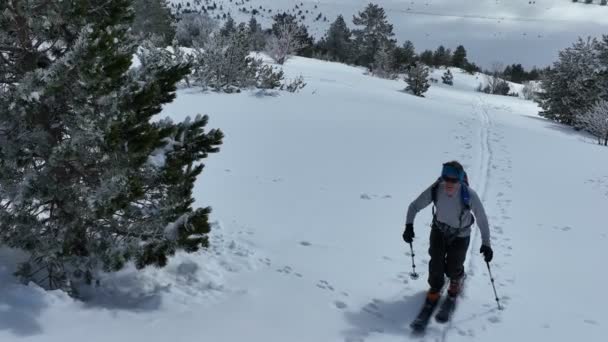 冬の季節には山の中でカメラビューを横断する空中スキーツアーの男新鮮な雪 ラインで皮膚の上にスキーツアー上り坂 粉の日 スキー休暇旅行のコンセプト 高品質4K — ストック動画