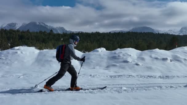 Ein Langläufer Läuft Winter Eine Loipe Einer Verschneiten Waldlandschaft Hinunter — Stockvideo