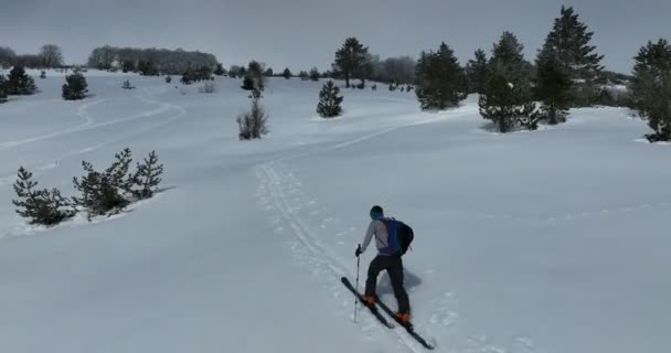 Aerial Ski Περιοδεία Άνθρωπος Που Διασχίζουν Πάνω Από Θέα Της — Αρχείο Βίντεο