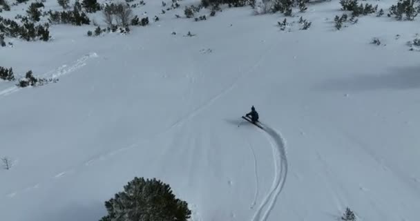 Cinematic Aerial Downhill Freeride Skiën Verse Diepe Sneeuw Met Een — Stockvideo