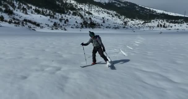 一位越野滑雪者在白雪覆盖的森林中走在一条小径上 空中无人侦察机跟踪拍摄 高质量的4K镜头 — 图库视频影像