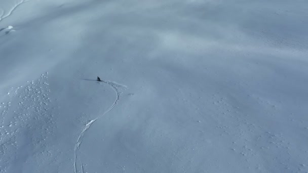 Cinematic Aerial Downhill Freeride Esquí Nieve Fresca Profunda Con Paisaje — Vídeo de stock