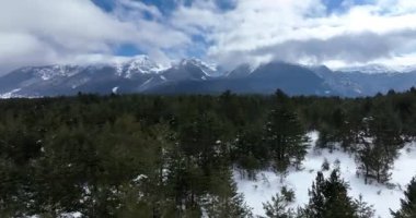 Havadan, yapraksız ağaçların üzerinden, karlı bir dağın üzerinden ve güzel karlı dağ zirvelerinin üzerinden. Kış ıssız, güneşli bir günde. Yüksek kalite 4k görüntü