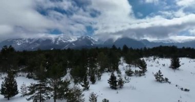 Havadan, yapraksız ağaçların üzerinden, karlı bir dağın üzerinden ve güzel karlı dağ zirvelerinin üzerinden. Kış ıssız, güneşli bir günde. Yüksek kalite 4k görüntü
