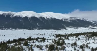 Havadan, yapraksız ağaçların üzerinden, karlı bir dağın üzerinden ve güzel karlı dağ zirvelerinin üzerinden. Kış ıssız, güneşli bir günde. Yüksek kalite 4k görüntü