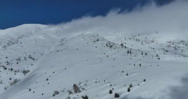 Hava, yükselen, insansız hava aracı, yapraksız ağaçların üzerinden, karlı bir dağın tepesinde, güneşli bir günde, kışın ıssız bir yerde. Yüksek kalite 4k görüntü