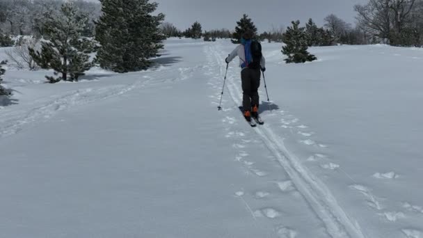 Aerial Ski Turné Muž Přecházející Přes Kameru Pohled Horách Zimním — Stock video