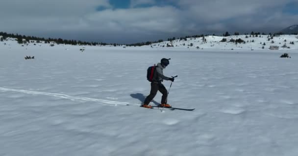 Esquiador Cross Country Caminha Por Uma Trilha Uma Paisagem Florestal — Vídeo de Stock