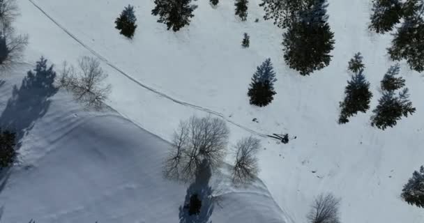 Aerial Ski Touring Man Crossing Camera View Mountains Winter Season — Stok Video