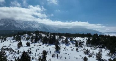 Havadan, yapraksız ağaçların üzerinden, karlı bir dağın üzerinden ve güzel karlı dağ zirvelerinin üzerinden. Kış ıssız, güneşli bir günde. Yüksek kalite 4k görüntü