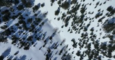 Kışın taze kar mevsiminde dağlarda kameranın önünden geçen hava kayaklı adam. Deri yokuşunda bir sıra halinde kayak turu. Toz günü. kayak tatili konsepti. Yüksek kalite 4k