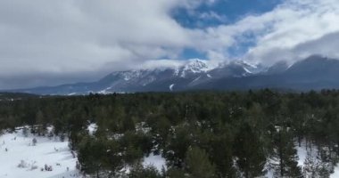 Havadan, yapraksız ağaçların üzerinden, karlı bir dağın üzerinden ve güzel karlı dağ zirvelerinin üzerinden. Kış ıssız, güneşli bir günde. Yüksek kalite 4k görüntü