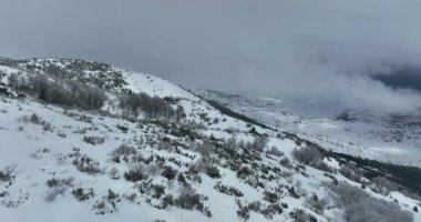 Havadan, yapraksız ağaçların üzerinden, karlı bir dağın üzerinden ve güzel karlı dağ zirvelerinin üzerinden. Kış ıssız, güneşli bir günde. Yüksek kalite 4k görüntü