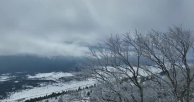 Havadan, yapraksız ağaçların üzerinden, karlı bir dağın üzerinden ve güzel karlı dağ zirvelerinin üzerinden. Kış ıssız, güneşli bir günde. Yüksek kalite 4k görüntü