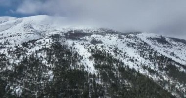 Hava, yükselen, insansız hava aracı, yapraksız ağaçların üzerinden, karlı bir dağın tepesinde, güneşli bir günde, kışın ıssız bir yerde. Yüksek kalite 4k görüntü