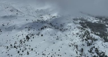 Hava, yükselen, insansız hava aracı, yapraksız ağaçların üzerinden, karlı bir dağın tepesinde, güneşli bir günde, kışın ıssız bir yerde. Yüksek kalite 4k görüntü