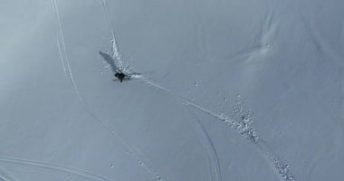 Sinema, tepeden aşağı serbest kayak. İnanılmaz bir dağ manzarası olan taze, derin karda kayak. Freeride atletleri muhteşem bir manzara ile piste kayak dönüşlerini gösteriyorlar. Yüksek kalite 4k görüntü