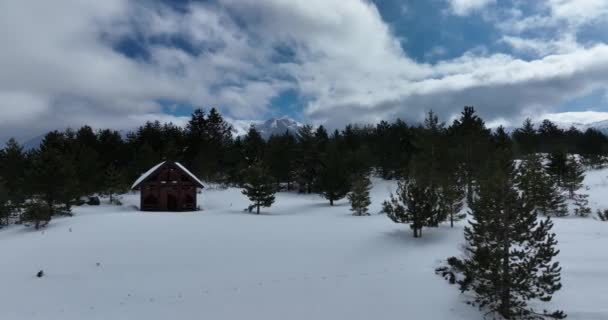 Воздушный Беспилотник Над Безлистными Деревьями Над Снежной Горой Красивыми Снежными — стоковое видео