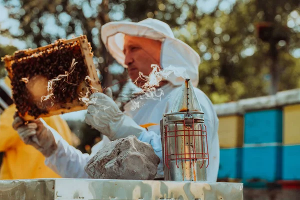 Včelař Kontroluje Med Rámu Úlu Poli Včelař Včelíně Včelař Pracuje — Stock fotografie
