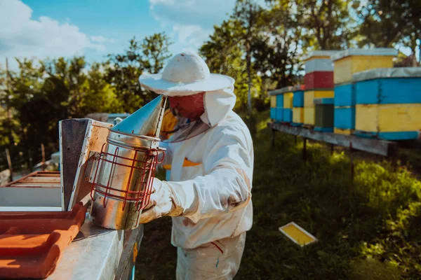 Pszczelarz Używa Dymu Uspokojenia Pszczół Zaczyna Sprawdzać Miód — Zdjęcie stockowe