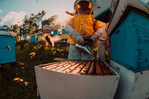 Imker Kontrollieren Den Honig Auf Dem Bienenstockrahmen Auf Dem Feld — Stockfoto